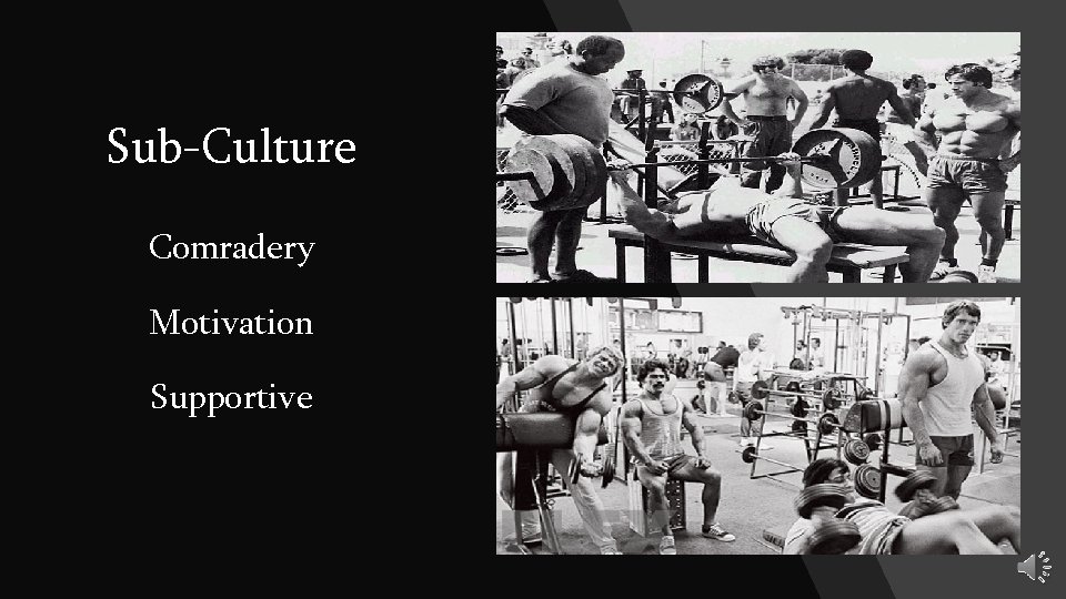 Sub-Culture Comradery Motivation Supportive 