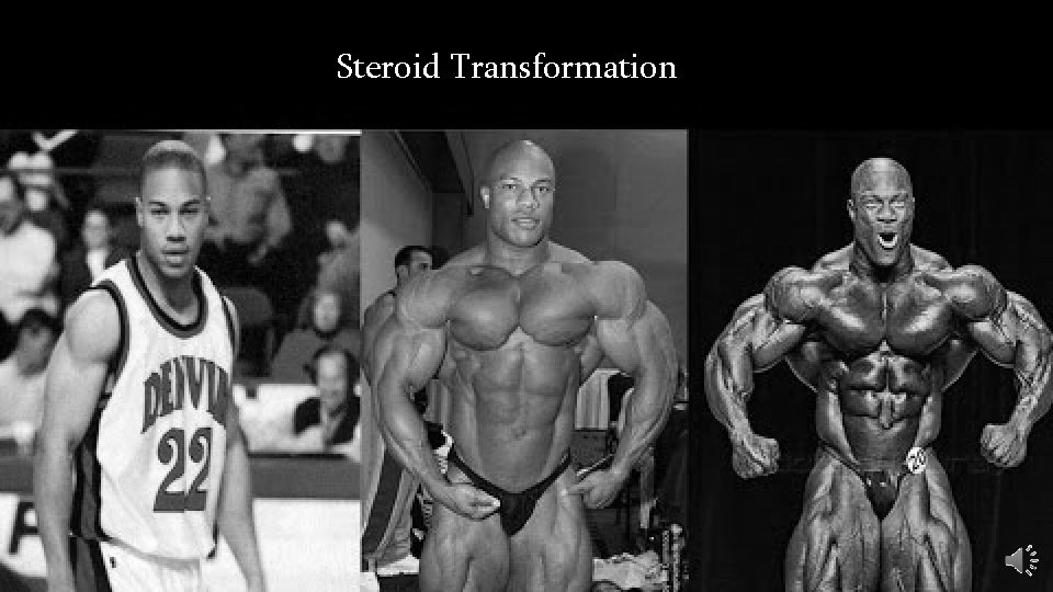 Steroid Transformation 