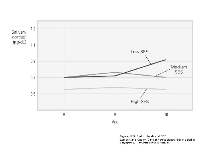 Figure 12. 5 Cortisol levels and SES. Lambert and Kinsley: Clinical Neuroscience, Second Edition