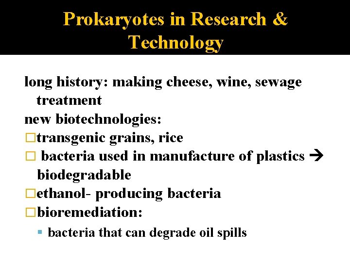 Prokaryotes in Research & Technology long history: making cheese, wine, sewage treatment new biotechnologies: