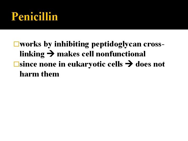 Penicillin �works by inhibiting peptidoglycan crosslinking makes cell nonfunctional �since none in eukaryotic cells