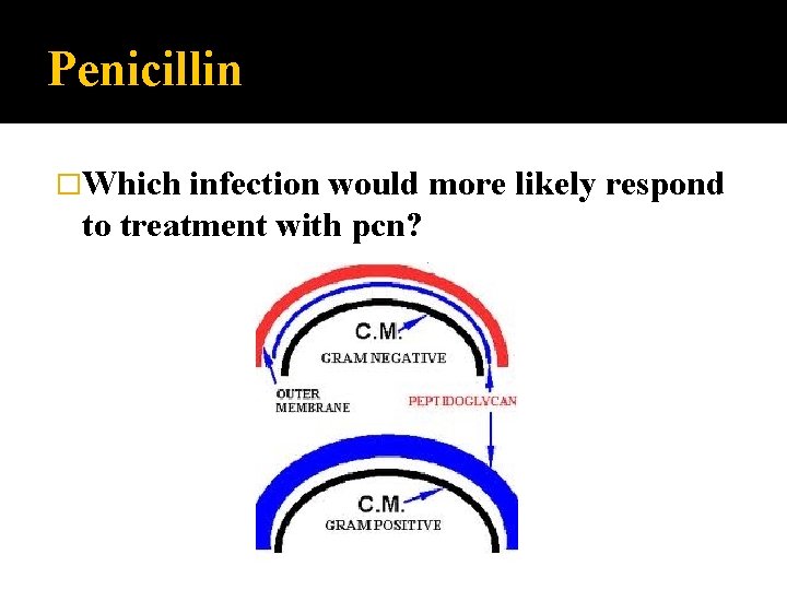 Penicillin �Which infection would more likely respond to treatment with pcn? 