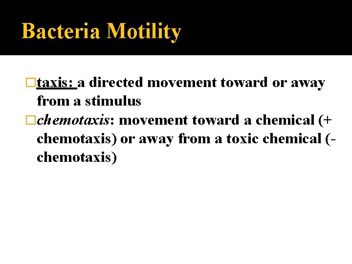 Bacteria Motility �taxis: a directed movement toward or away from a stimulus �chemotaxis: movement
