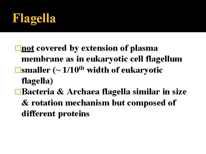 Flagella �not covered by extension of plasma membrane as in eukaryotic cell flagellum �smaller