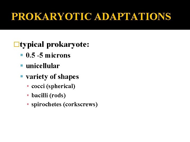 PROKARYOTIC ADAPTATIONS �typical prokaryote: 0. 5 -5 microns unicellular variety of shapes ▪ cocci