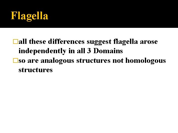 Flagella �all these differences suggest flagella arose independently in all 3 Domains �so are