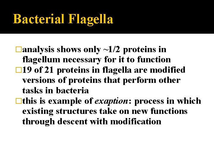 Bacterial Flagella �analysis shows only ~1/2 proteins in flagellum necessary for it to function