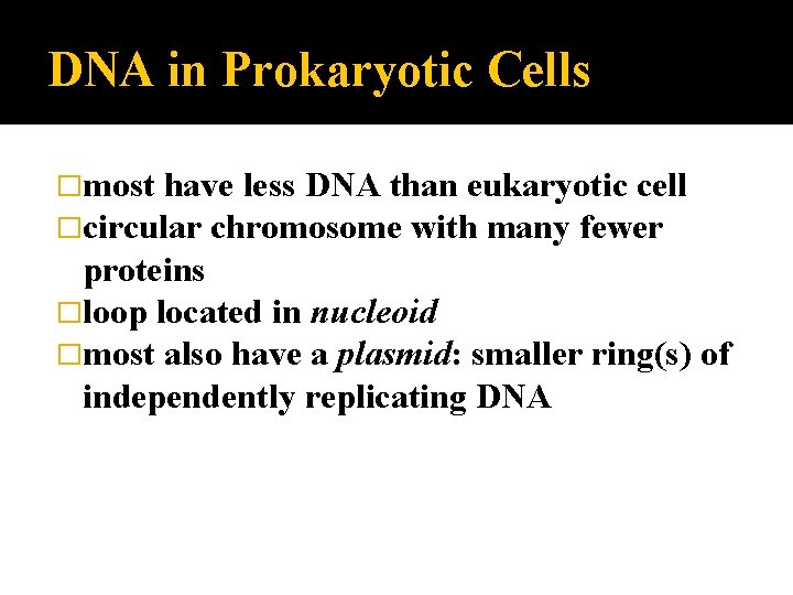 DNA in Prokaryotic Cells �most have less DNA than eukaryotic cell �circular chromosome with