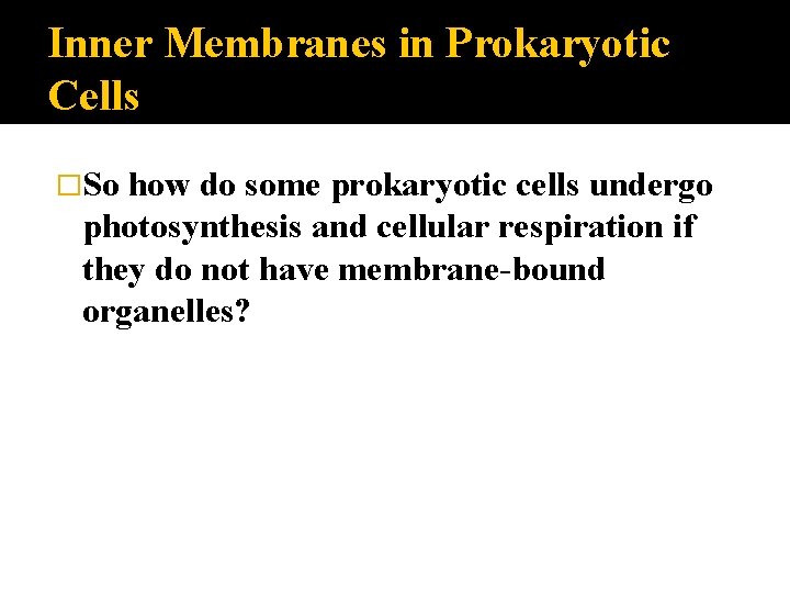 Inner Membranes in Prokaryotic Cells �So how do some prokaryotic cells undergo photosynthesis and