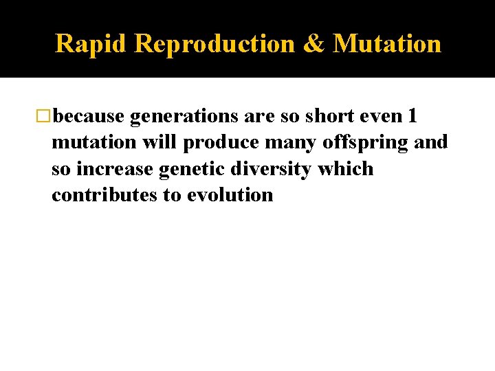 Rapid Reproduction & Mutation �because generations are so short even 1 mutation will produce