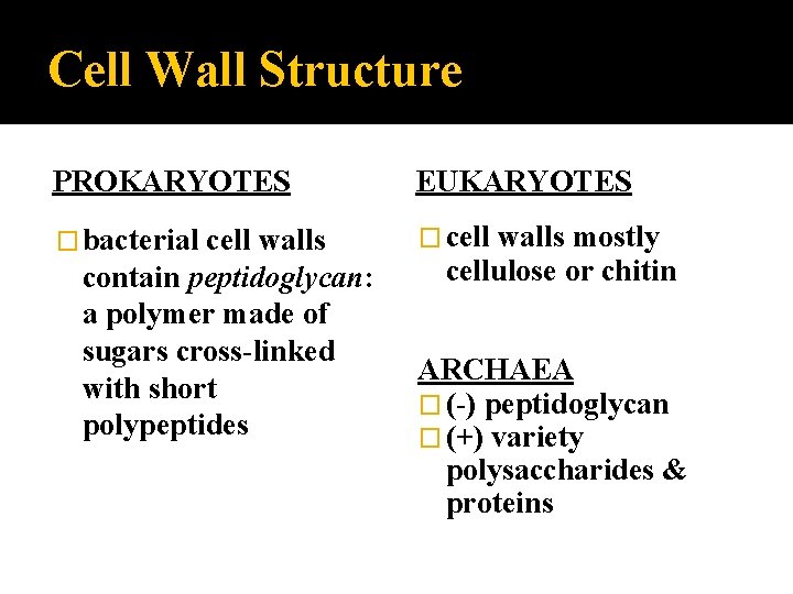 Cell Wall Structure PROKARYOTES EUKARYOTES � bacterial � cell walls contain peptidoglycan: a polymer