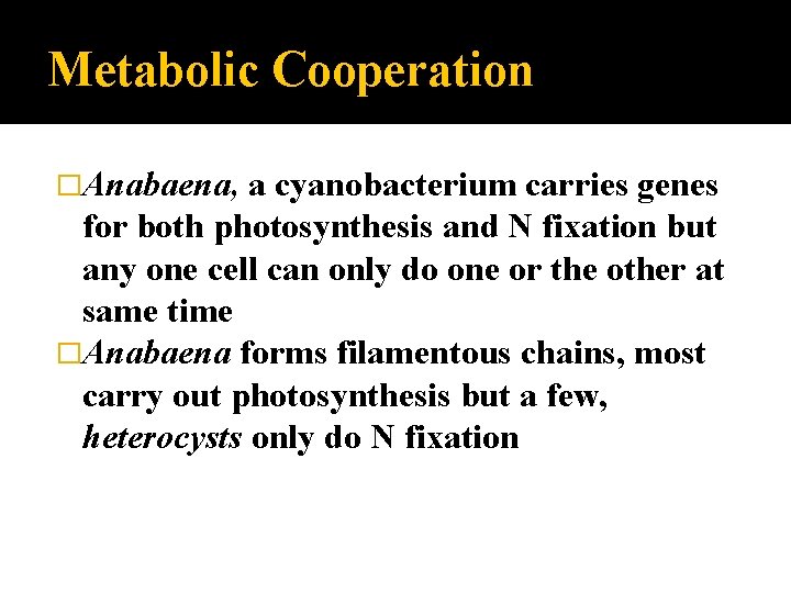 Metabolic Cooperation �Anabaena, a cyanobacterium carries genes for both photosynthesis and N fixation but