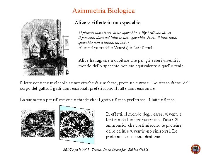 Asimmetria Biologica Alice si riflette in uno specchio Ti piacerebbe vivere in un specchio