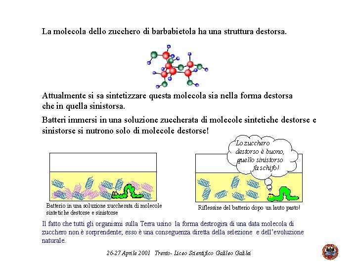 La molecola dello zucchero di barbabietola ha una struttura destorsa. Attualmente si sa sintetizzare