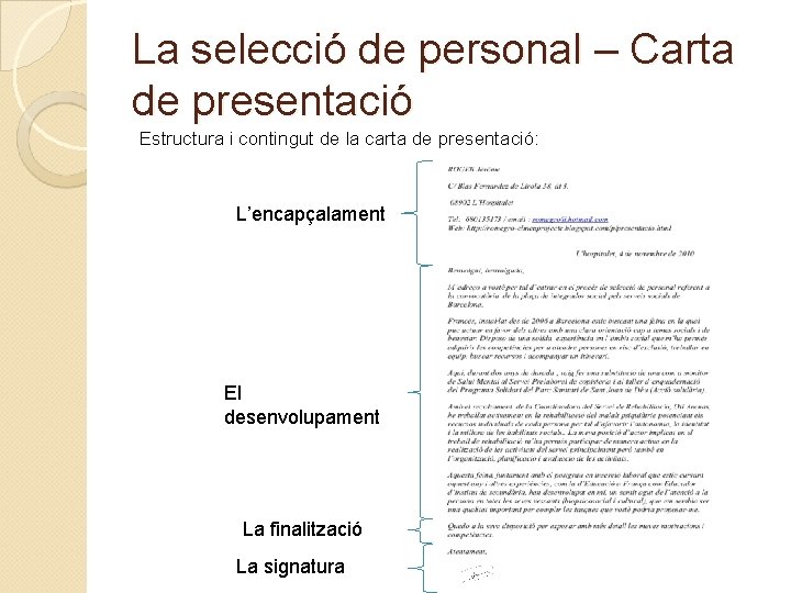 La selecció de personal – Carta de presentació Estructura i contingut de la carta