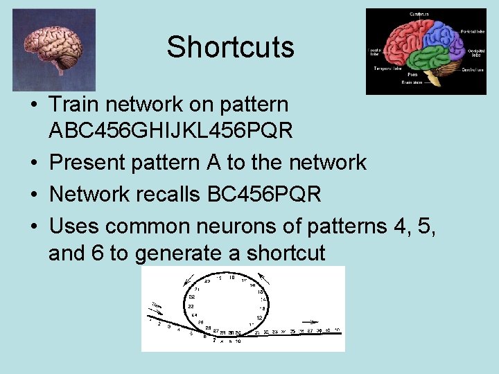 Shortcuts • Train network on pattern ABC 456 GHIJKL 456 PQR • Present pattern