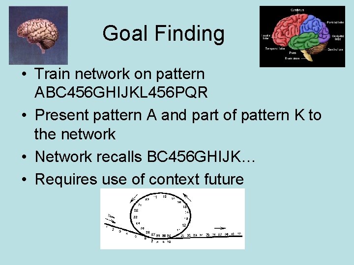 Goal Finding • Train network on pattern ABC 456 GHIJKL 456 PQR • Present