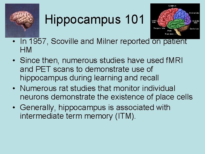 Hippocampus 101 • In 1957, Scoville and Milner reported on patient HM • Since