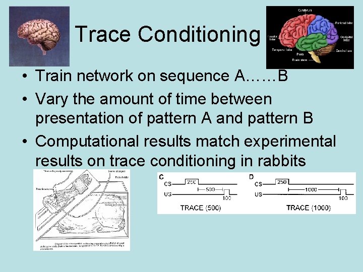 Trace Conditioning • Train network on sequence A……B • Vary the amount of time