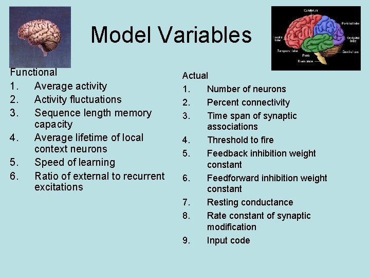 Model Variables Functional 1. Average activity 2. Activity fluctuations 3. Sequence length memory capacity