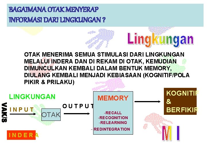 BAGAIMANA OTAK MENYERAP INFORMASI DARI LINGKUNGAN ? OTAK MENERIMA SEMUA STIMULASI DARI LINGKUNGAN MELALUI