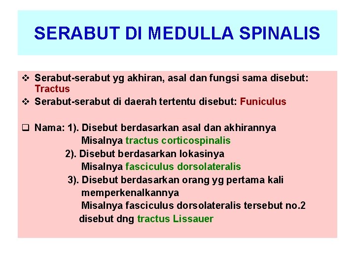 SERABUT DI MEDULLA SPINALIS v Serabut-serabut yg akhiran, asal dan fungsi sama disebut: Tractus