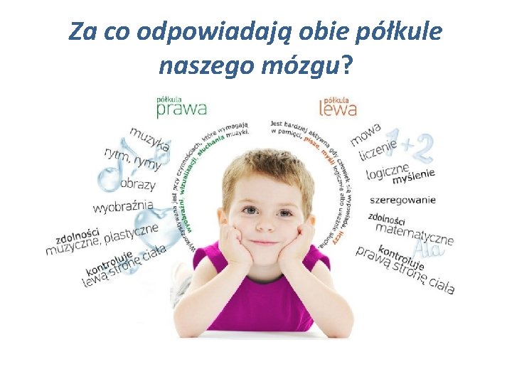 Za co odpowiadają obie półkule naszego mózgu? 