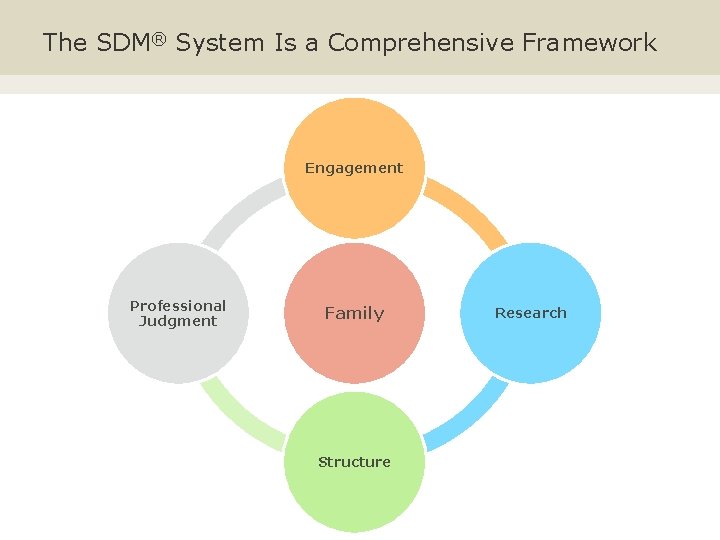 The SDM® System Is a Comprehensive Framework Engagement Professional Judgment Family Structure Research 