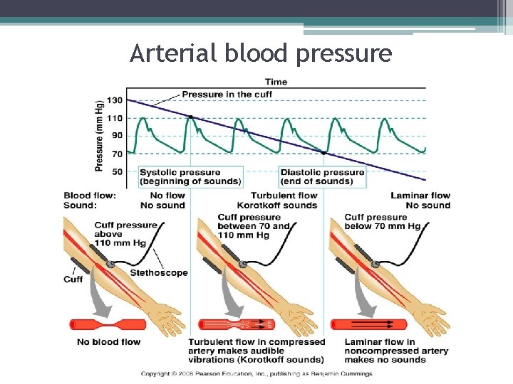 Arterial blood pressure 