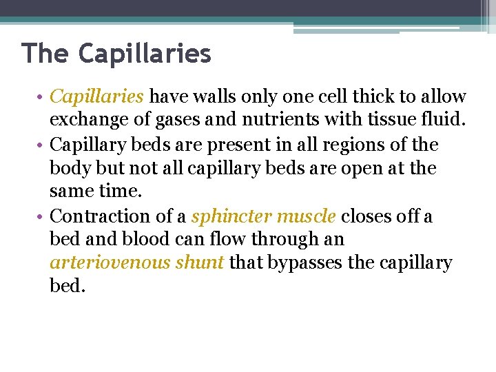 The Capillaries • Capillaries have walls only one cell thick to allow exchange of