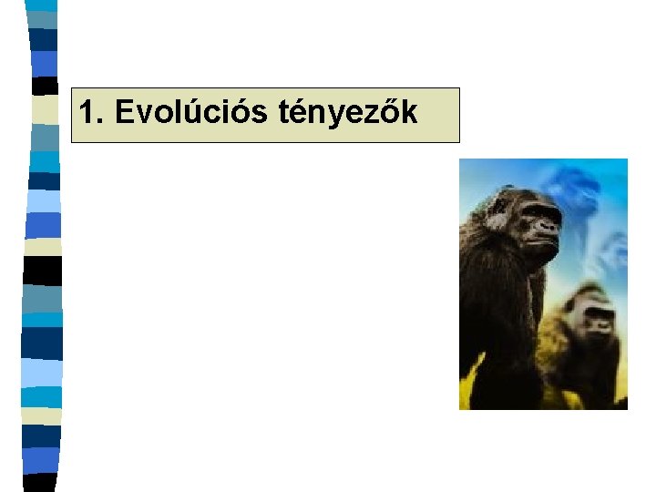 1. Evolúciós tényezők 