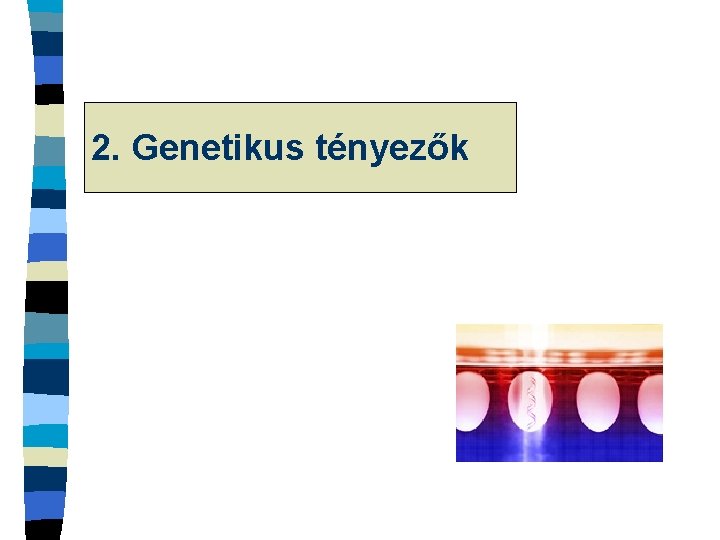 2. Genetikus tényezők 