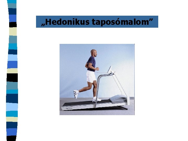 „Hedonikus taposómalom” 