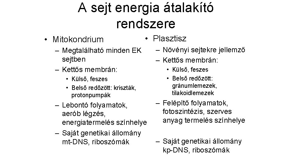 A sejt energia átalakító rendszere • Mitokondrium • Plasztisz – Megtalálható minden EK sejtben