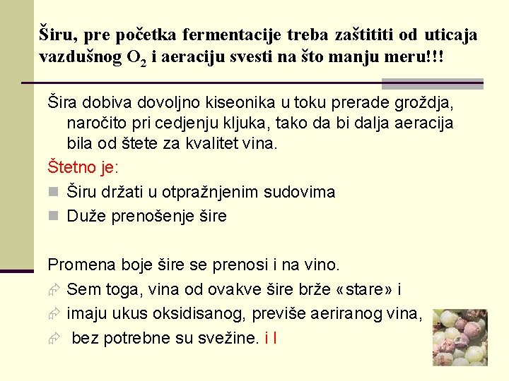 Širu, pre početka fermentacije treba zaštititi od uticaja vazdušnog O 2 i aeraciju svesti