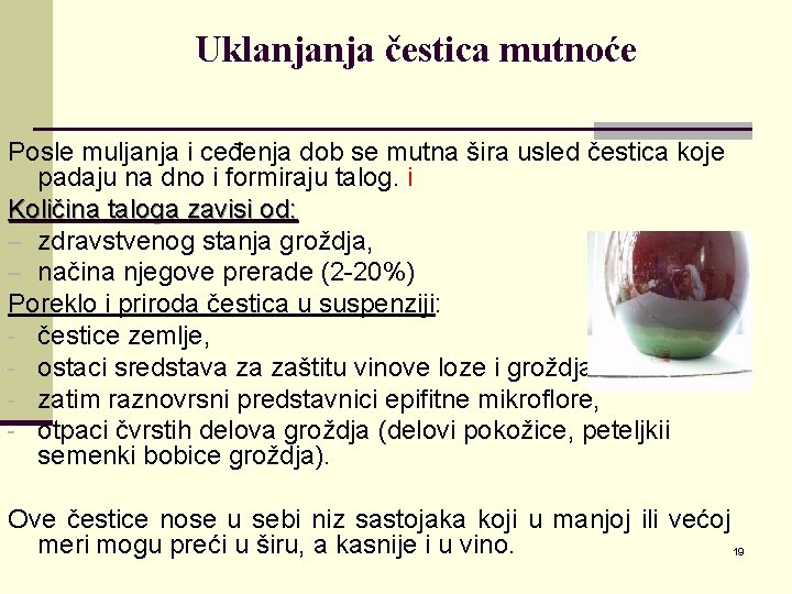 Uklanjanja čestica mutnoće Posle muljanja i ceđenja dob se mutna šira usled čestica koje