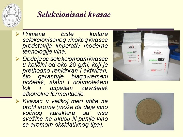 Selekcionisani kvasac Ø Primena čiste kulture selekcionisanog vinskog kvasca predstavlja imperativ moderne tehnologije vina.