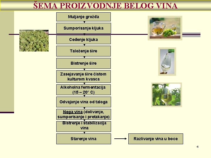 ŠEMA PROIZVODNJE BELOG VINA Muljanje grožđa Sumporisanje kljuka Ceđenje kljuka Taloženje šire Bistrenje šire