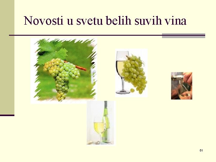 Novosti u svetu belih suvih vina 51 