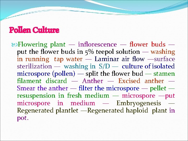 Pollen Culture Flowering plant — inflorescence — flower buds — put the flower buds