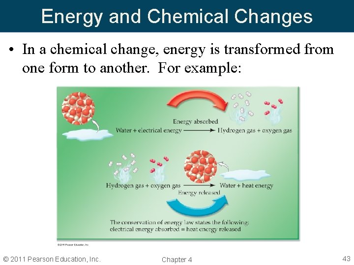 Energy and Chemical Changes • In a chemical change, energy is transformed from one