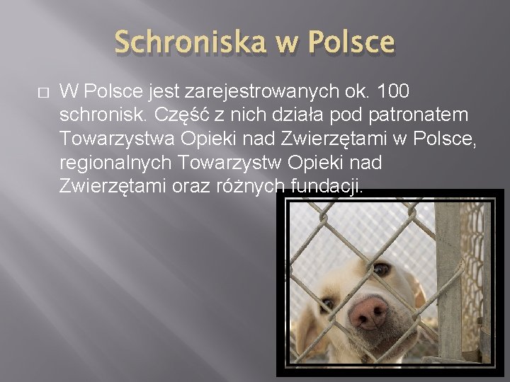 Schroniska w Polsce � W Polsce jest zarejestrowanych ok. 100 schronisk. Część z nich