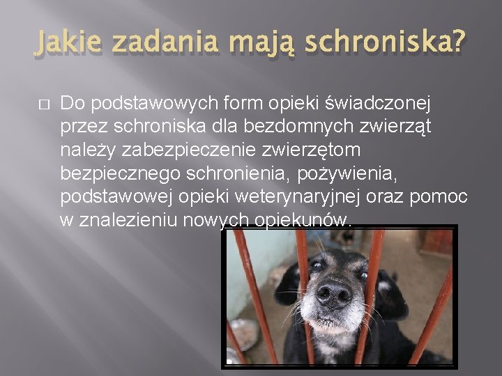 Jakie zadania mają schroniska? � Do podstawowych form opieki świadczonej przez schroniska dla bezdomnych