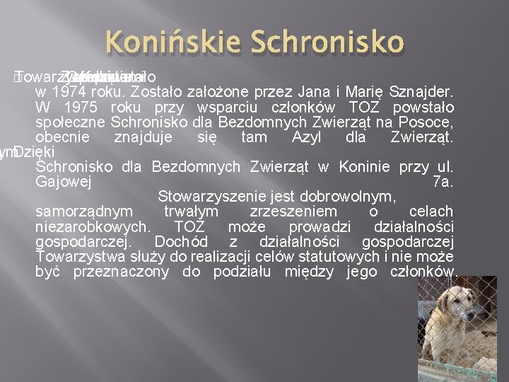 Konińskie Schronisko � Towarzystwo Zwierzętami Opieki nad Koninie powstało w w 1974 roku. Zostało