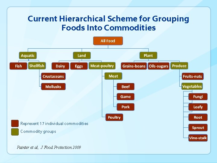 Current Hierarchical Scheme for Grouping Foods Into Commodities All Food Represent 17 individual commodities