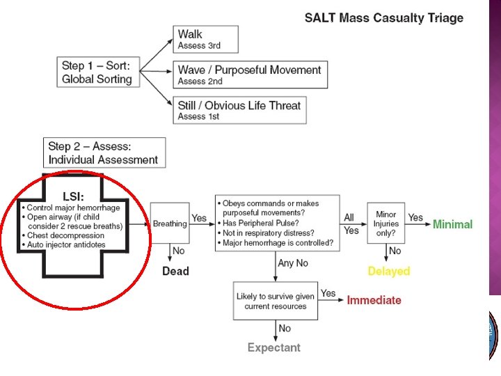 �Provide Lifesaving Interventions �Control major hemorrhage �Open airway if not breathing If child, consider