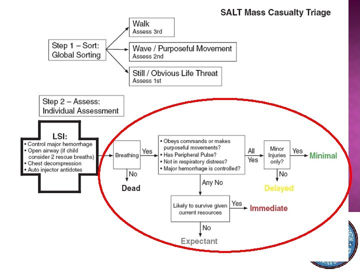 � Triage Categories: Immediate Delayed Minimal Expectant Dead 30 