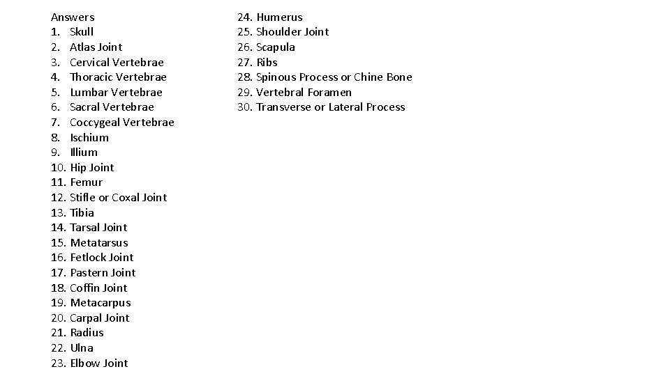 Answers 1. Skull 2. Atlas Joint 3. Cervical Vertebrae 4. Thoracic Vertebrae 5. Lumbar