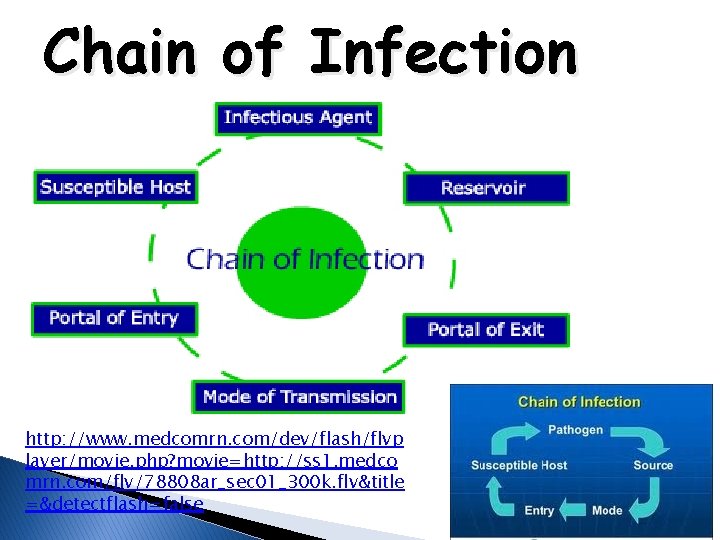 Chain of Infection http: //www. medcomrn. com/dev/flash/flvp layer/movie. php? movie=http: //ss 1. medco mrn.