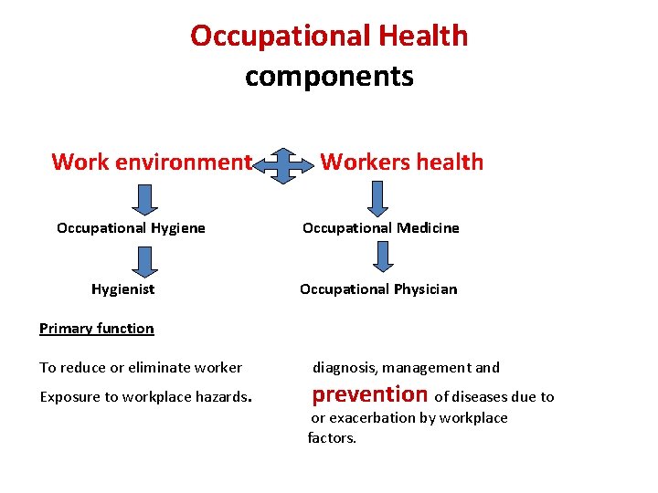 Occupational Health components Work environment Workers health Occupational Hygiene Occupational Medicine Hygienist Occupational Physician